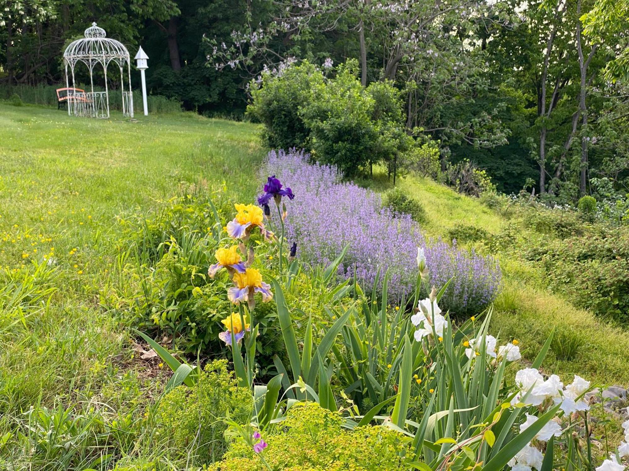 La Soledad Lavender Farm And Guesthouse Harpers Ferry Exterior photo